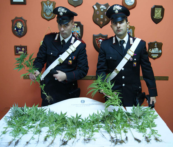 Foto_stupefacente_sequestrato_dai_Carabinieri_di_Messina_Sud1
